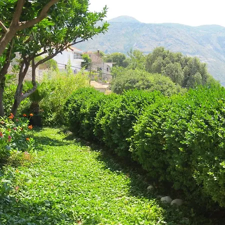 Lonza Apartament