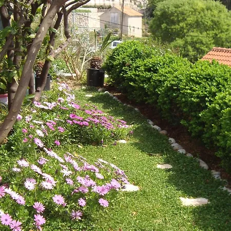 Apartmán Lonza *